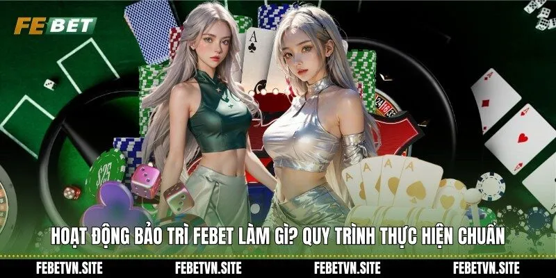 hoạt động bảo trì febet làm gì